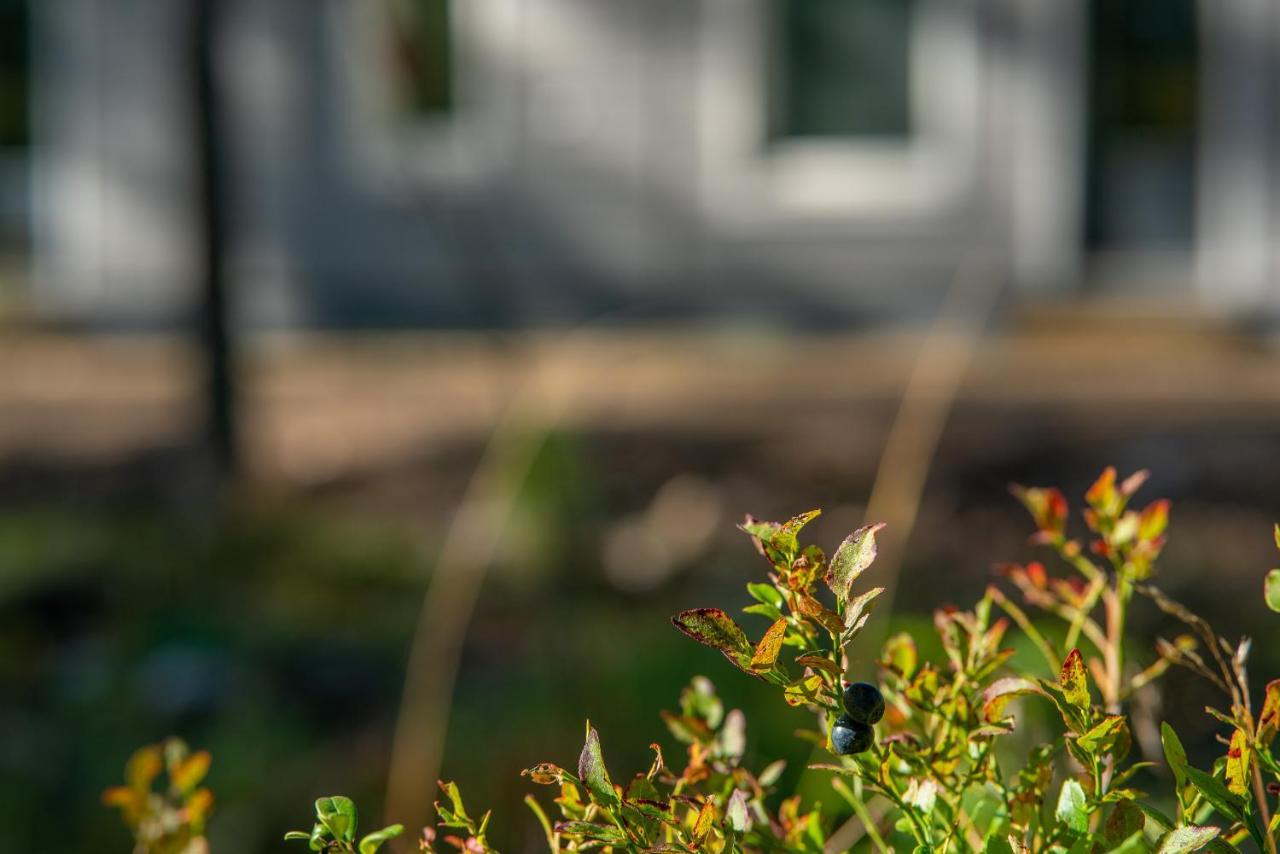 Saimaa Light Apartman Virasoja Kültér fotó